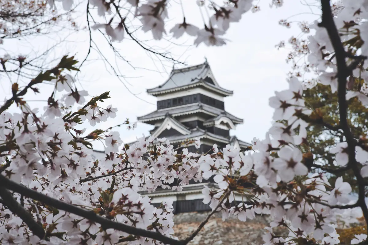 長野県の画像